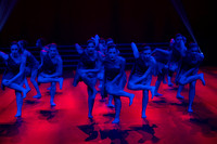 Paso Loco Performance