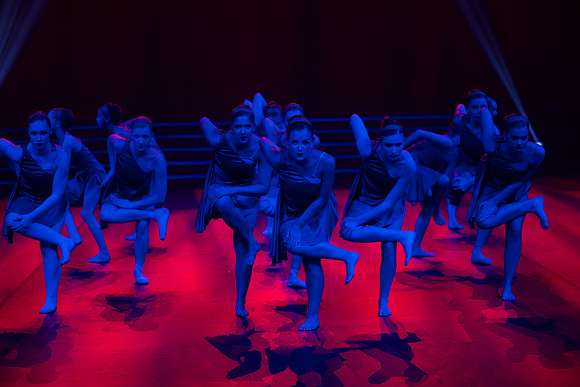 Paso Loco Performance