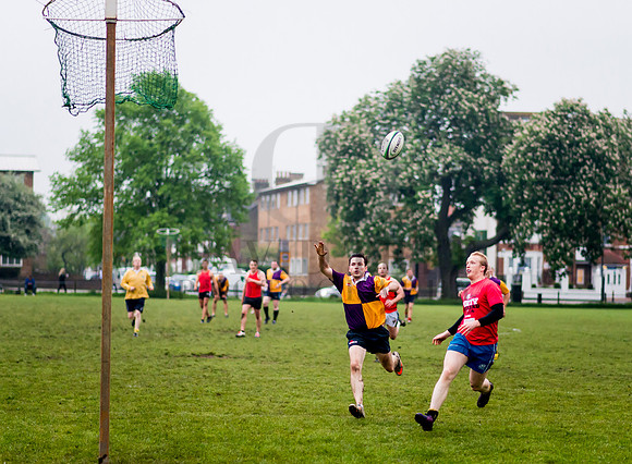 Netrugby 1-44