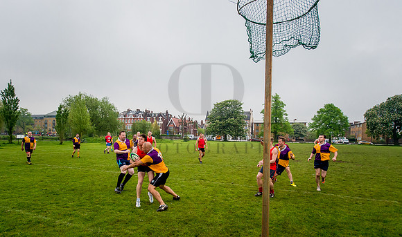 Netrugby 1-24