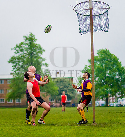 Netrugby 1-41
