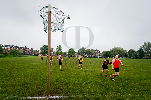 Netrugby 1-31