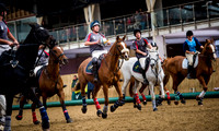 Horseball best-59