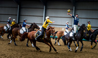 Horseball best-70