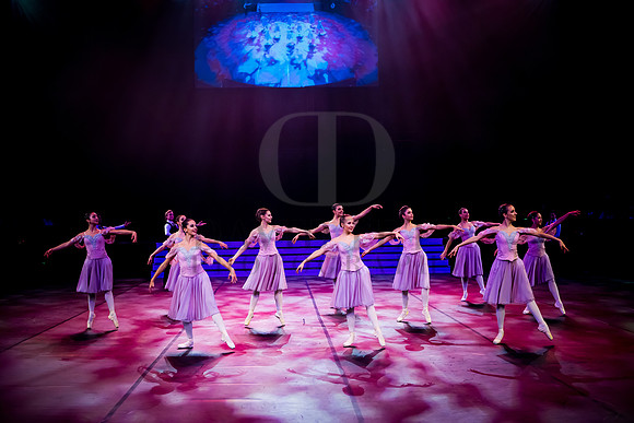 Dance Proms 2015-1463