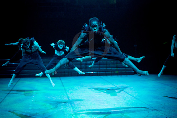 Dance Proms Performance-1274