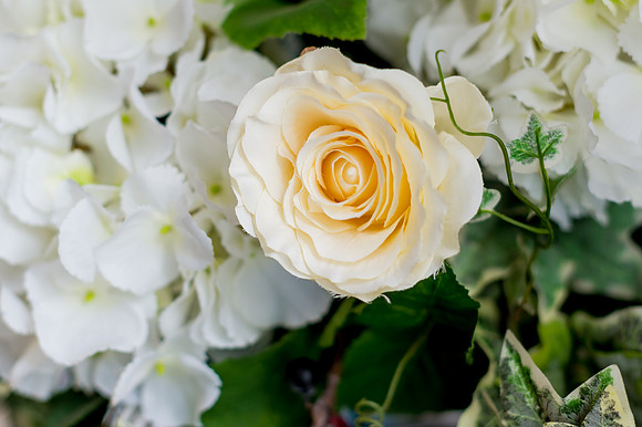 Lucy and Rob's Wedding-101