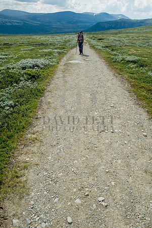 Norway Pilgrims' Trail-236