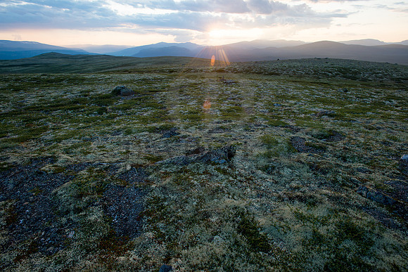 Norway Pilgrims' Trail-198