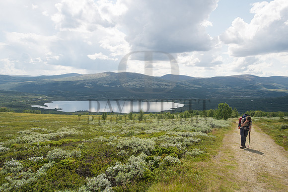 Norway Pilgrims' Trail-235