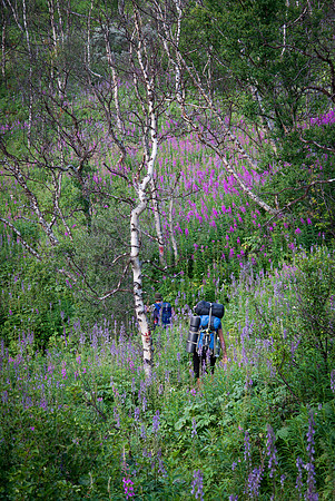 Norway Pilgrims' Trail-260