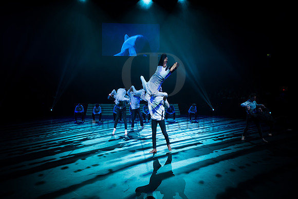Dance Proms 2015-2486