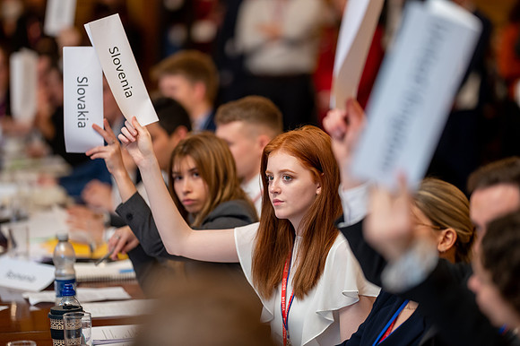 Model UN 2022-103