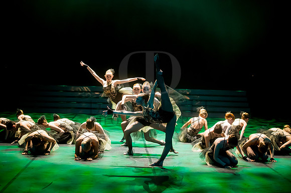 Dance Proms 2015-1533