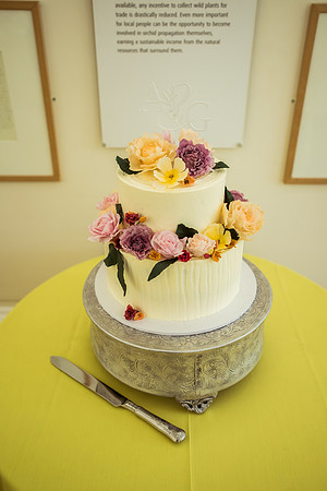 Alice and Guy Wedding-14