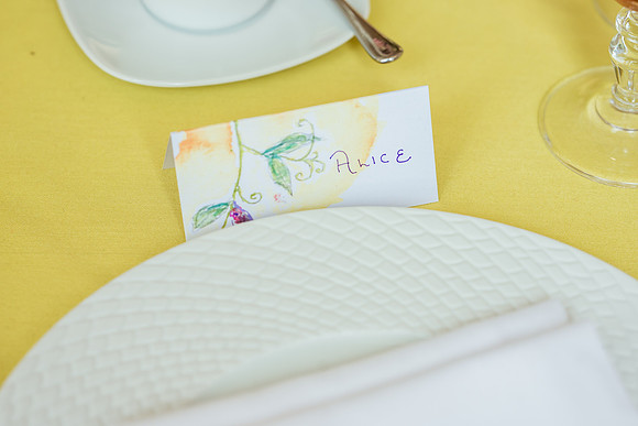 Alice and Guy Wedding-17