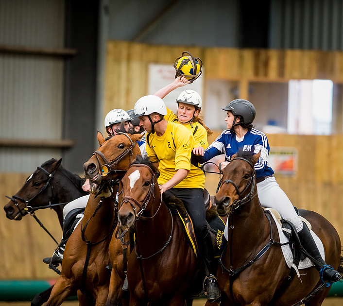 Horseball best-56
