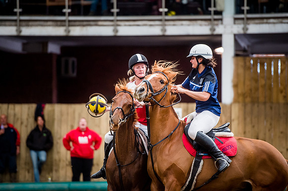 Horseball best-57