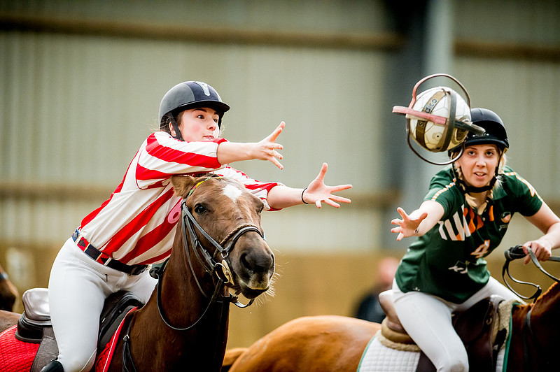 Horseball best-58