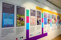 Exhibition wall panel headed 'A showcase of inspiring projects co-created with our partners', featuring the Layers of Vision project on the left — a co-produced access guidance and training programme