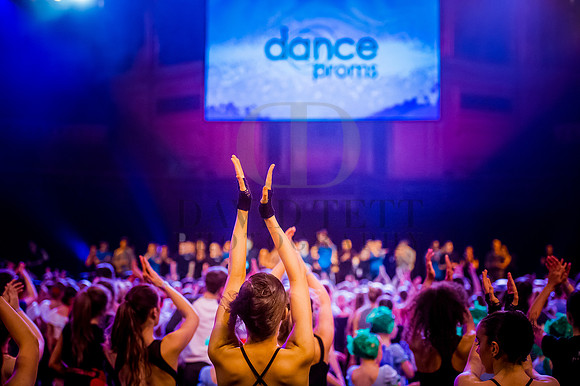 Dance Proms 2015 faves-8