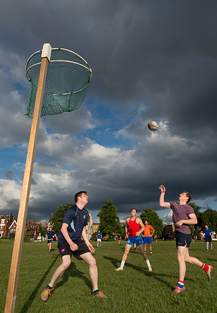 Netrugby 2-53