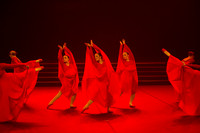Passionata Performance