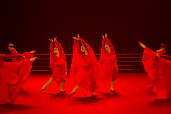 Passionata Performance