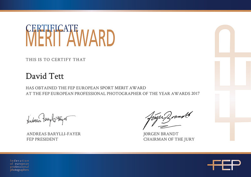 FEP_Certificate_Award_David Tett