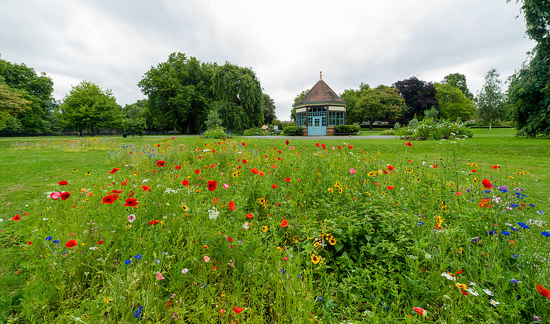Lambeth Green Flag Parks-98