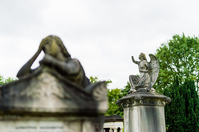 Lambeth Green Flag Parks-173