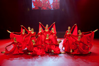 Passionata Performance