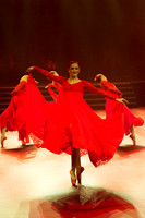 Passionata Performance
