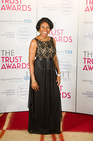 GSTT Awards 2014-84