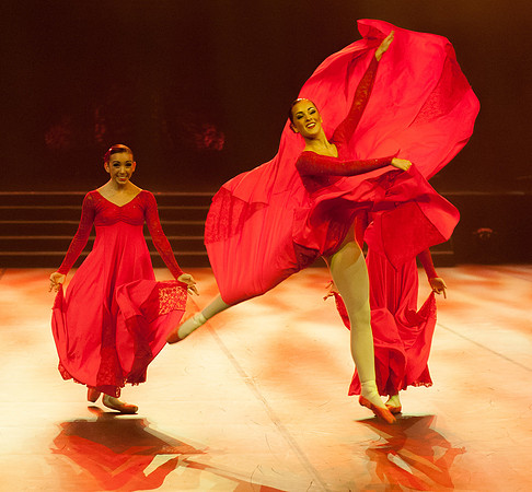 Passionata Performance