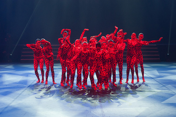 Passionata Performance