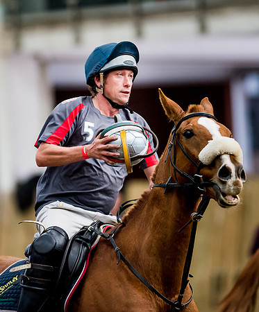 Horseball best-54