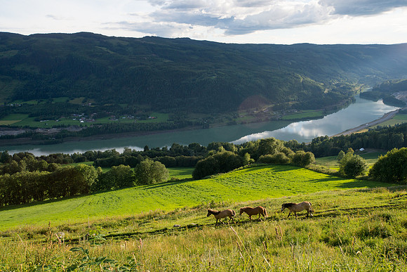 Norway Pilgrims Trail 1