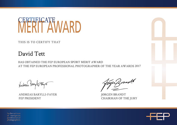 FEP_Certificate_Award_David Tett