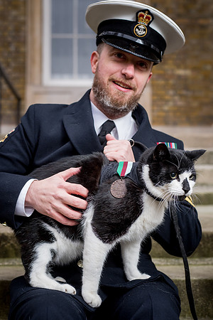 PDSA Dickin Medal 75th-22