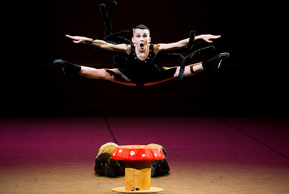 Spider's Banquet Performance