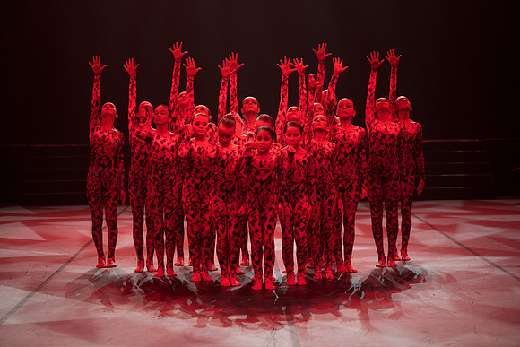 Confusion Performance
