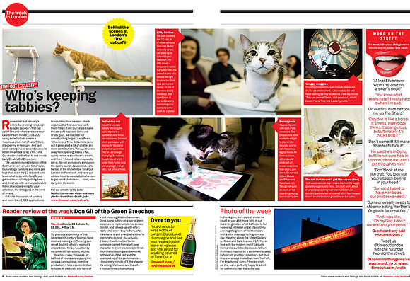 cat cafe