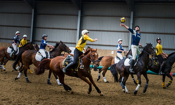 Horseball best-70