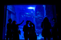 Time Out Sealife-42