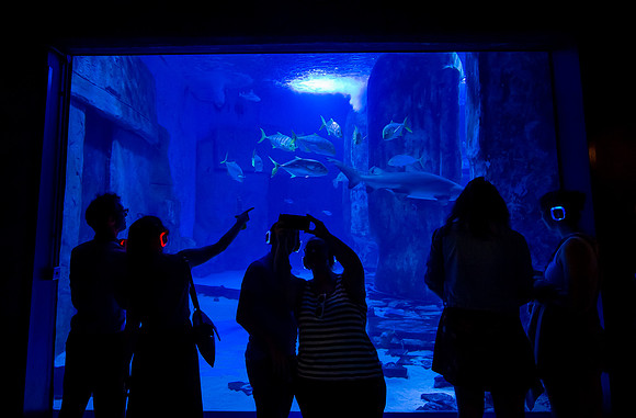 Time Out Sealife-42