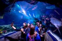 Time Out Sealife-85