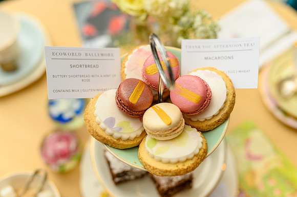 Ballymore Tea Event-3