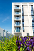 Bollo Lane Chiswick-40