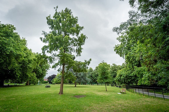 Lambeth Green Flag Parks-79